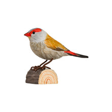 Load image into Gallery viewer, Hand Carved Deco Bird - Red Browed Finch