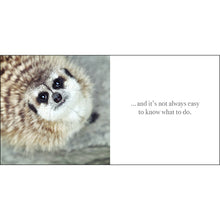 Load image into Gallery viewer, Inspirational Book - It's ok to be You