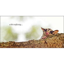 Load image into Gallery viewer, Inspirational Book - It's ok to be You