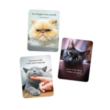 Load image into Gallery viewer, 24 Animal Affirmation Cards & Stand - Wise Cats