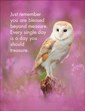Load image into Gallery viewer, 24 Affirmation Cards & Stand - Wise Old Owls