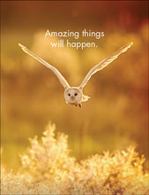 Load image into Gallery viewer, 24 Affirmation Cards & Stand - Wise Old Owls