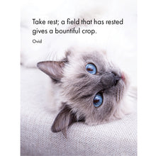 Load image into Gallery viewer, 24 Animal Affirmations Cards & Stand - The Cat's Whiskers