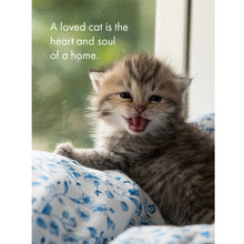 Load image into Gallery viewer, 24 Animal Affirmations Cards & Stand - The Cat's Whiskers