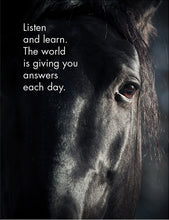 Load image into Gallery viewer, 24 Animal Affirmation Cards & Stand - Horse Sense