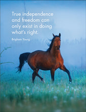 Load image into Gallery viewer, 24 Animal Affirmation Cards & Stand - Horse Sense