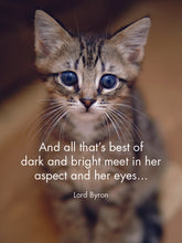Load image into Gallery viewer, 24 Animal Affirmations Cards & Stand - Kitten Tales