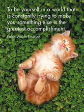 Load image into Gallery viewer, 24 Animal Affirmations Cards & Stand - Kitten Tales