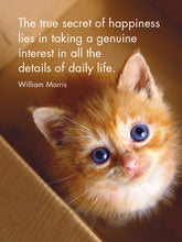 Load image into Gallery viewer, 24 Animal Affirmations Cards & Stand - Kitten Tales