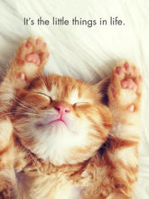 Load image into Gallery viewer, 24 Animal Affirmations Cards & Stand - Kitten Tales