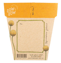 Load image into Gallery viewer, Sow n Sow Billy Buttons Gift of Seeds (Australia only)