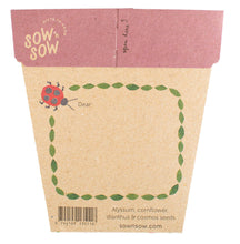 Load image into Gallery viewer, Sow n Sow Enchanted Garden Gift of Seeds (Australia only)