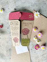 Load image into Gallery viewer, Sow n Sow Everlasting Daisy Gift of Seeds (Australia only)