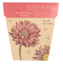 Load image into Gallery viewer, Sow n Sow Everlasting Daisy Gift of Seeds (Australia only)