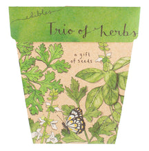 Load image into Gallery viewer, Sow n Sow Trio of Herbs Gift of Seeds (Australia only)