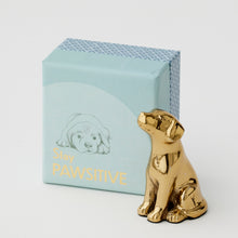 Load image into Gallery viewer, Stay Pawsitive Figurine