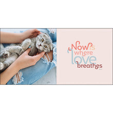 Load image into Gallery viewer, Inspirational Book - Catitude
