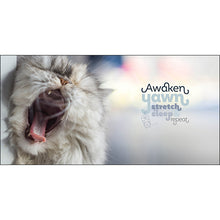Load image into Gallery viewer, Inspirational Book - Catitude