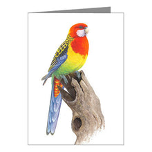 Load image into Gallery viewer, Jeremy Boot Card - Eastern Rosella