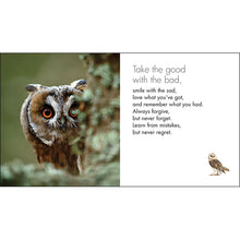 Load image into Gallery viewer, Inspirational Quote Book - A Little Book of Owl Wisdom