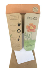 Load image into Gallery viewer, Sow n Sow Marigolds Gift of Seeds (Australia only)