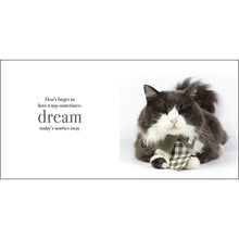 Load image into Gallery viewer, Inspirational Book - The Power of Meows