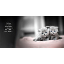 Load image into Gallery viewer, Inspirational Book - The Power of Meows