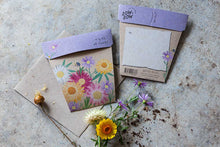 Load image into Gallery viewer, Sow n Sow Native Daisies Gift of Seeds (Australia only)