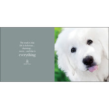 Load image into Gallery viewer, Inspirational Book - Pupparazzi