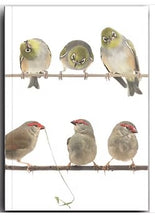 Load image into Gallery viewer, The Bird Photographer A5 Notebook - Finches