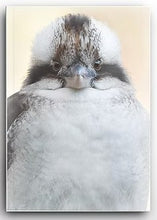 Load image into Gallery viewer, The Bird Photographer A5 Notebook - Kookaburra