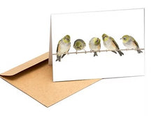 Load image into Gallery viewer, The Bird Photographer Boxed Cards - Mixed Flock (8)