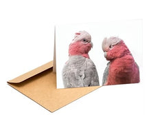 Load image into Gallery viewer, The Bird Photographer Boxed Cards - Mixed Flock (8)