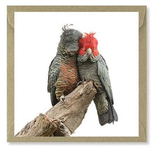 Load image into Gallery viewer, The Bird Photographer Boxed Cards - Mixed Flock (5)