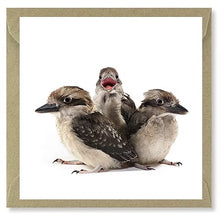 Load image into Gallery viewer, The Bird Photographer Boxed Cards - Mixed Flock (5)