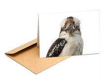 Load image into Gallery viewer, The Bird Photographer Boxed Cards - Mixed Flock (8)
