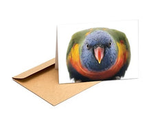 Load image into Gallery viewer, The Bird Photographer Boxed Cards - Mixed Flock (8)