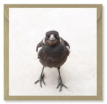 Load image into Gallery viewer, The Bird Photographer Boxed Cards - Mixed Flock (5)