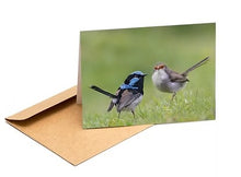 Load image into Gallery viewer, The Bird Photographer Boxed Cards - Mixed Flock (8)