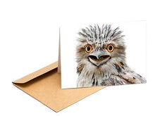 Load image into Gallery viewer, The Bird Photographer Boxed Cards - Mixed Flock (8)