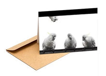 Load image into Gallery viewer, The Bird Photographer Boxed Cards - Mixed Flock (8)