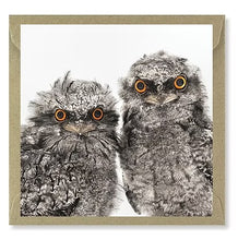 Load image into Gallery viewer, The Bird Photographer Boxed Cards - Mixed Flock (5)