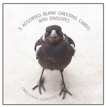 Load image into Gallery viewer, The Bird Photographer Boxed Cards - Mixed Flock (5)