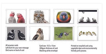 Load image into Gallery viewer, The Bird Photographer Boxed Cards - Mixed Flock (8)
