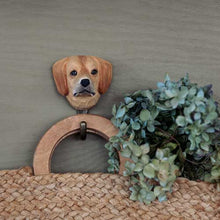 Load image into Gallery viewer, Hand Carved Wall Hook - Golden Retriever