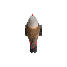 Load image into Gallery viewer, Hand Carved Deco Bird - Diamond Firetail