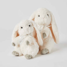 Load image into Gallery viewer, The Bunny Family Set of 2