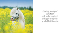 Load image into Gallery viewer, Inspirational Book - Find Your Inner Calm