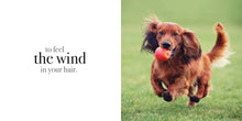 Load image into Gallery viewer, Inspirational Book - Find Your Inner Calm