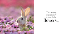 Load image into Gallery viewer, Inspirational Book - Find Your Inner Calm